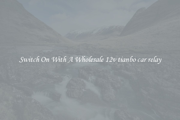 Switch On With A Wholesale 12v tianbo car relay