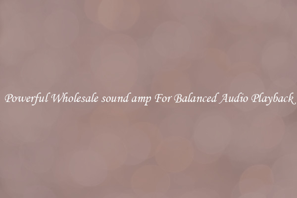 Powerful Wholesale sound amp For Balanced Audio Playback