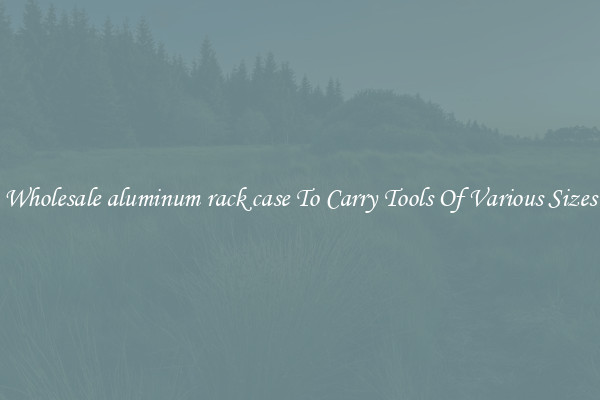 Wholesale aluminum rack case To Carry Tools Of Various Sizes