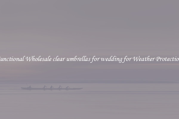 Functional Wholesale clear umbrellas for wedding for Weather Protection 