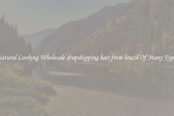 Natural Looking Wholesale dropshipping hair from brazil Of Many Types