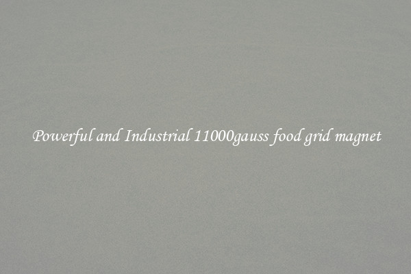 Powerful and Industrial 11000gauss food grid magnet