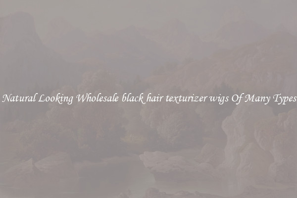 Natural Looking Wholesale black hair texturizer wigs Of Many Types