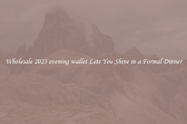 Wholesale 2023 evening wallet Lets You Shine in a Formal Dinner