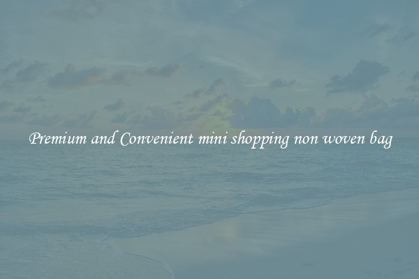 Premium and Convenient mini shopping non woven bag