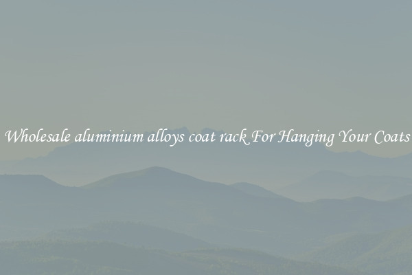 Wholesale aluminium alloys coat rack For Hanging Your Coats