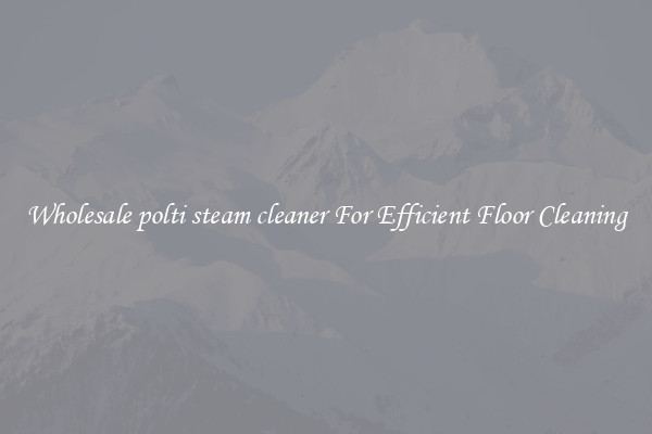 Wholesale polti steam cleaner For Efficient Floor Cleaning