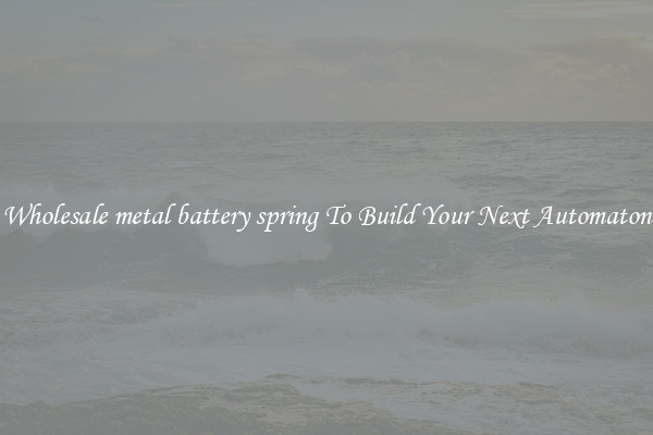 Wholesale metal battery spring To Build Your Next Automaton