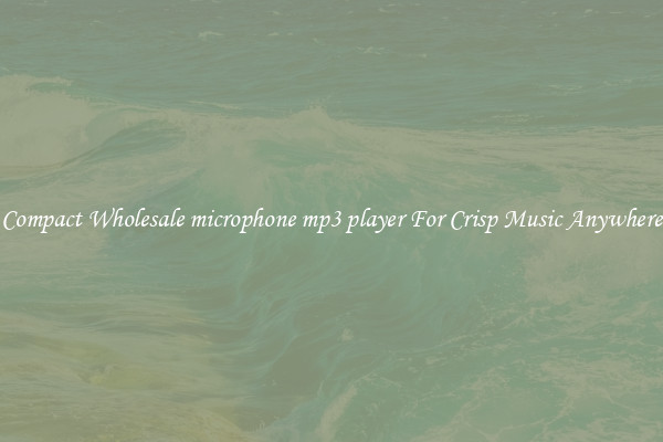 Compact Wholesale microphone mp3 player For Crisp Music Anywhere