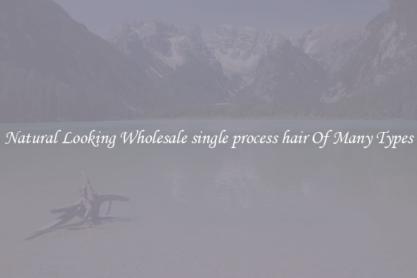 Natural Looking Wholesale single process hair Of Many Types