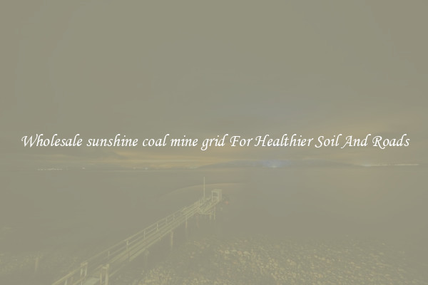 Wholesale sunshine coal mine grid For Healthier Soil And Roads