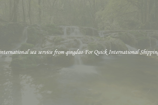 international sea service from qingdao For Quick International Shipping
