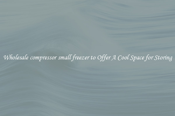 Wholesale compressor small freezer to Offer A Cool Space for Storing
