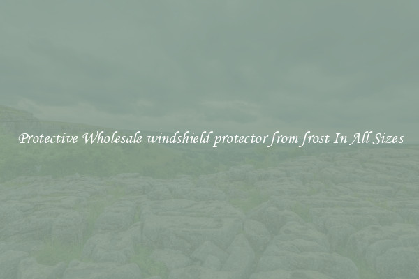 Protective Wholesale windshield protector from frost In All Sizes