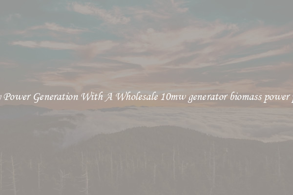 Easy Power Generation With A Wholesale 10mw generator biomass power plant