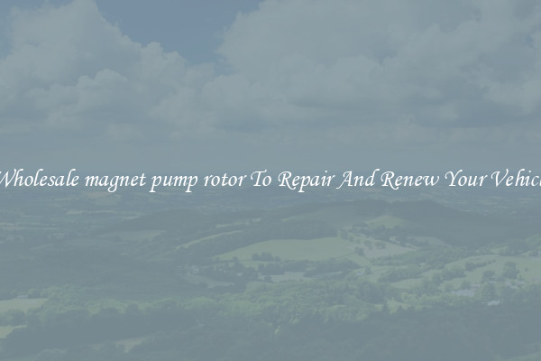Wholesale magnet pump rotor To Repair And Renew Your Vehicle
